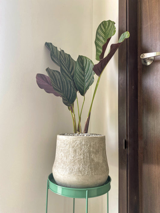 Maceta Milano Grande