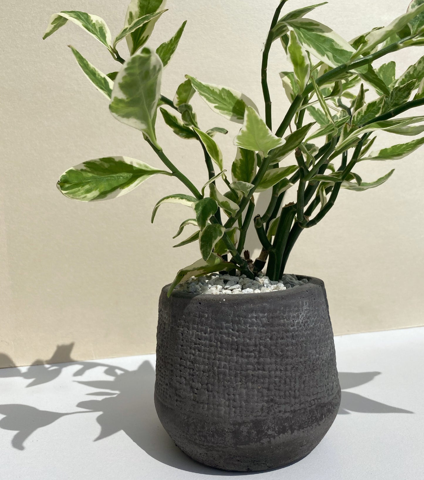 Maceta Milano Mediana