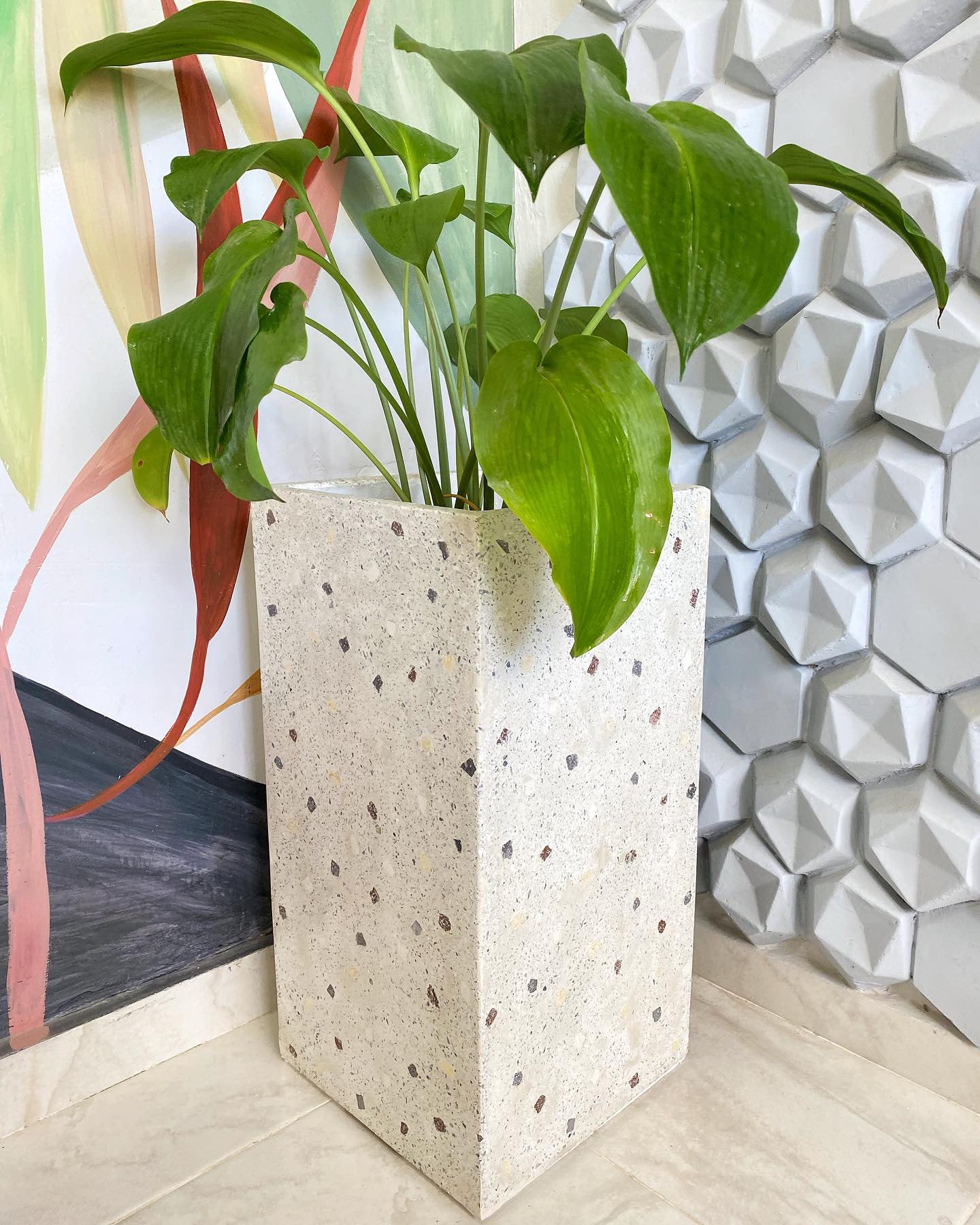 Maceta Ovar A / Maceta Ovar B