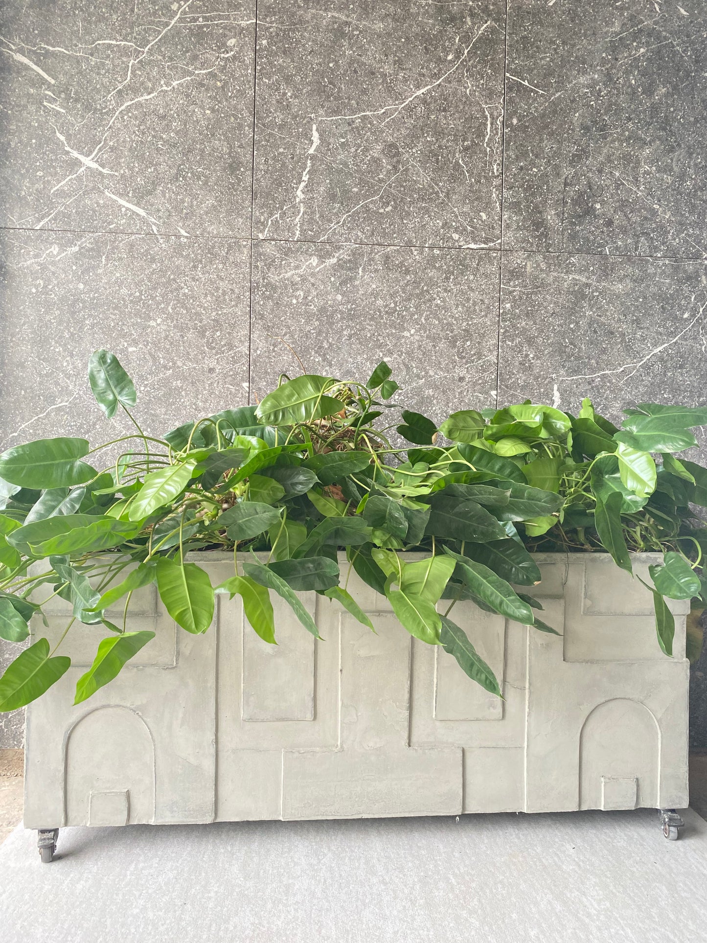 Maceta Rectangular Perugia